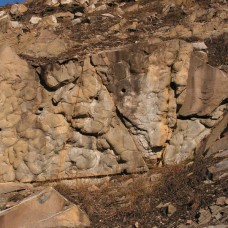 Biológia - Poloniny – geologická štruktúra Biológia - Poloniny – geologická štruktúra