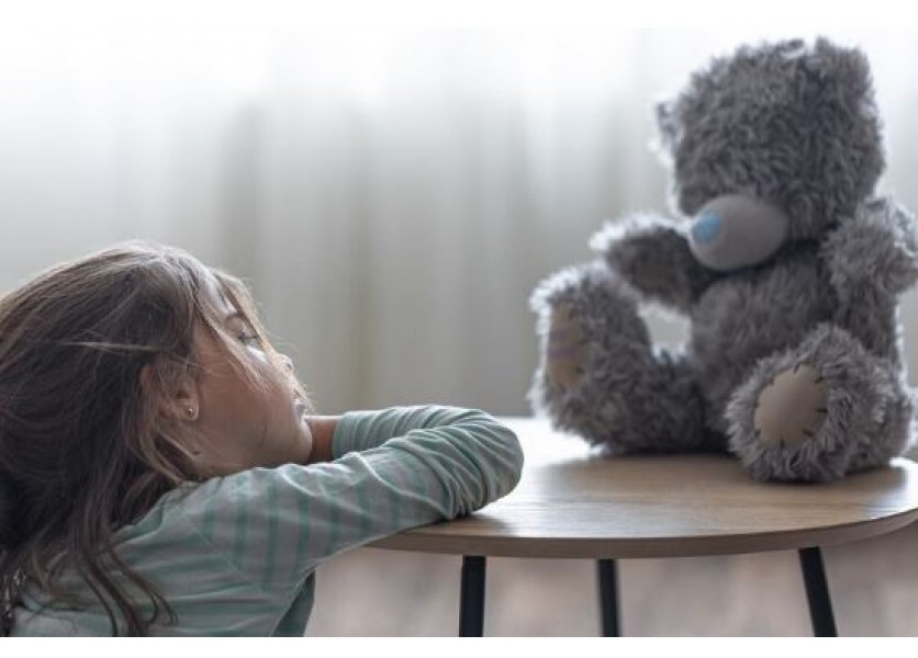 V Bratislave sa v utorok začal 32. ročník konferencie Dieťa v ohrození