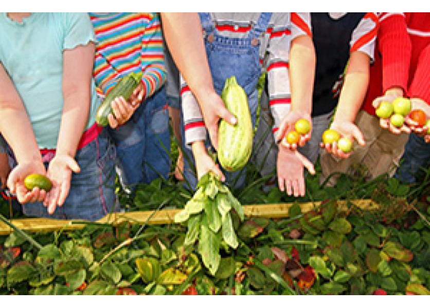 Titulom Zelená škola sa hrdí 82 škôl z celého Slovenska