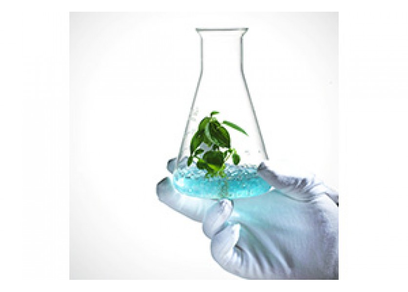 Prírodné vedy sú perspektívne