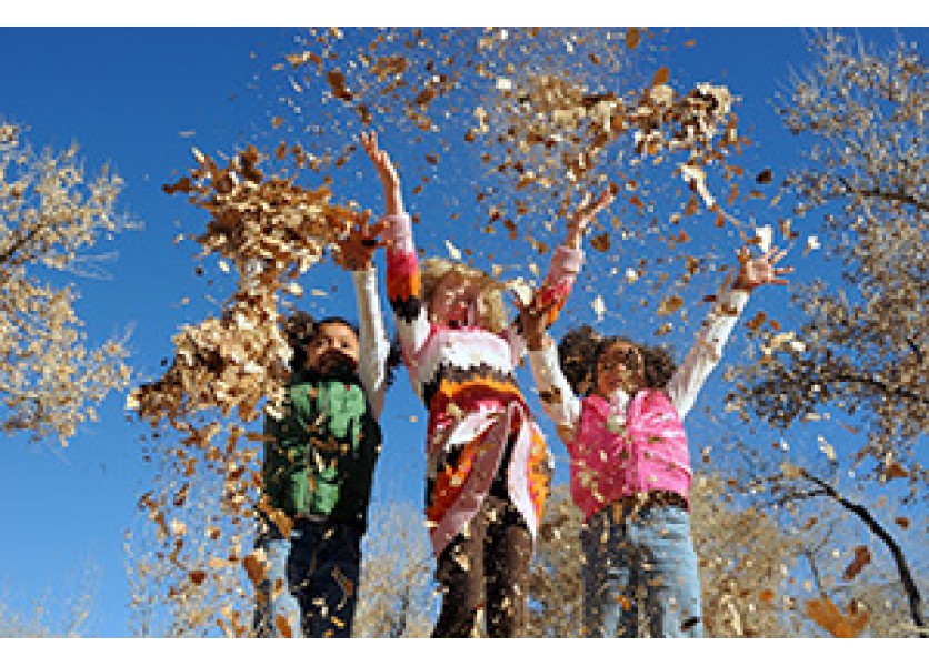 Školy sa môžu zapojiť do programu Zelená škola