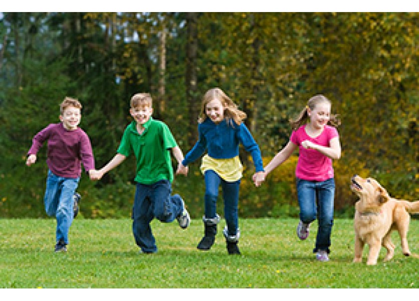 Zmenou školského zákon chcú zabrániť úmrtiam detí Zmenou školského zákon chcú zabrániť úmrtiam detí