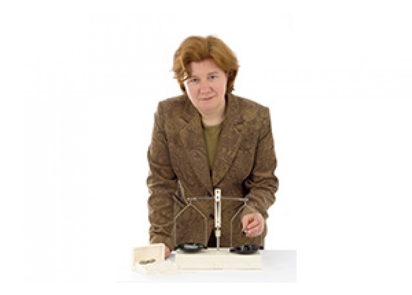 Žiaci na 183 školách absolvujú program Viac ako peniaze