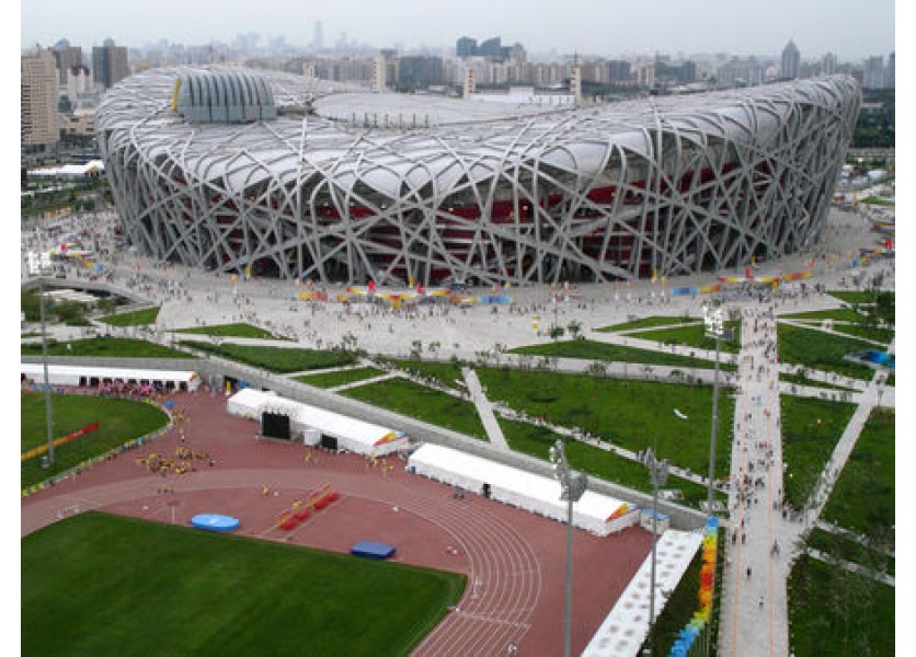 Biológia - Vtáčie hniezdo