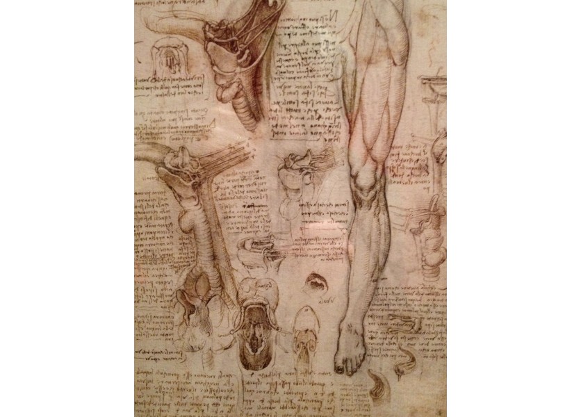 Biológia - Biológ da Vinci