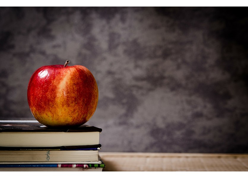 ŠKOLSTVO: Organizácia rezortu obstaráva zabezpečenie testovaní v ZŠ