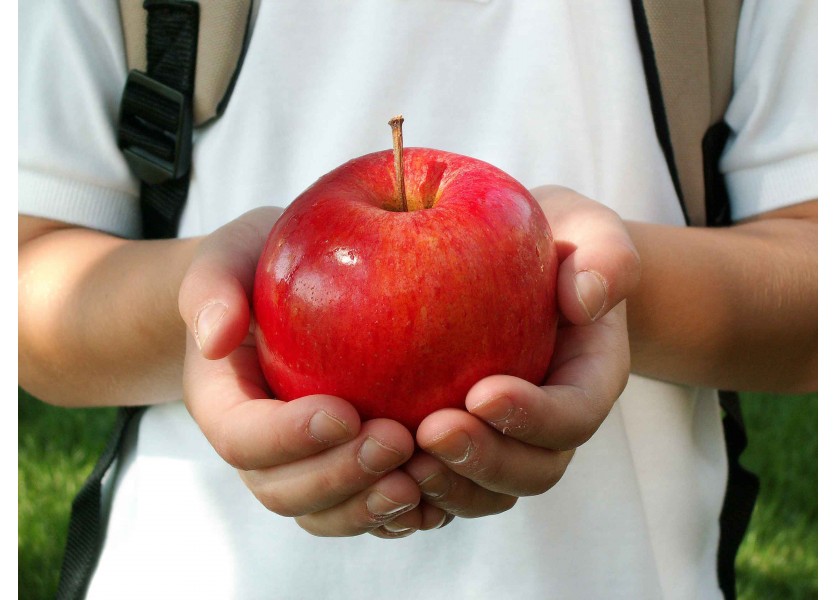 Na ovocie dostanú školy od septembra menej
