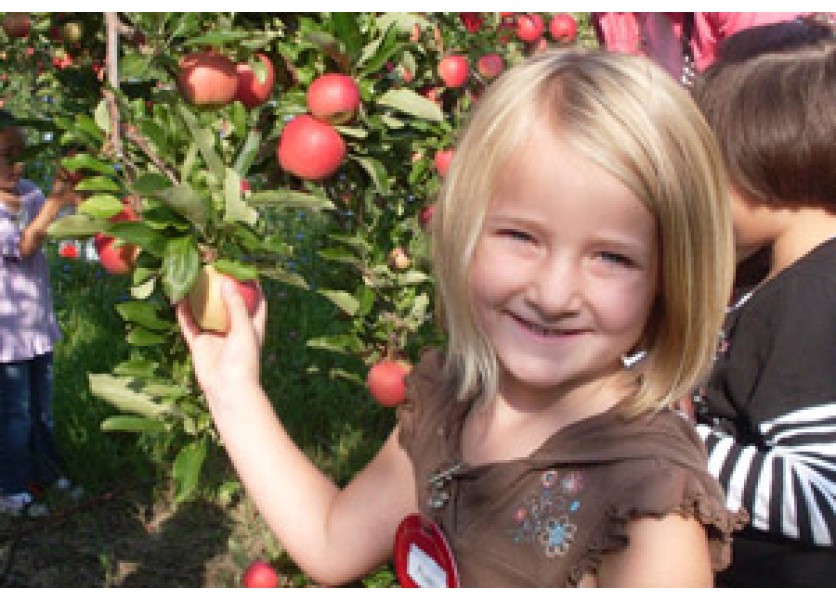 Na dieťa zaplatí aj štát