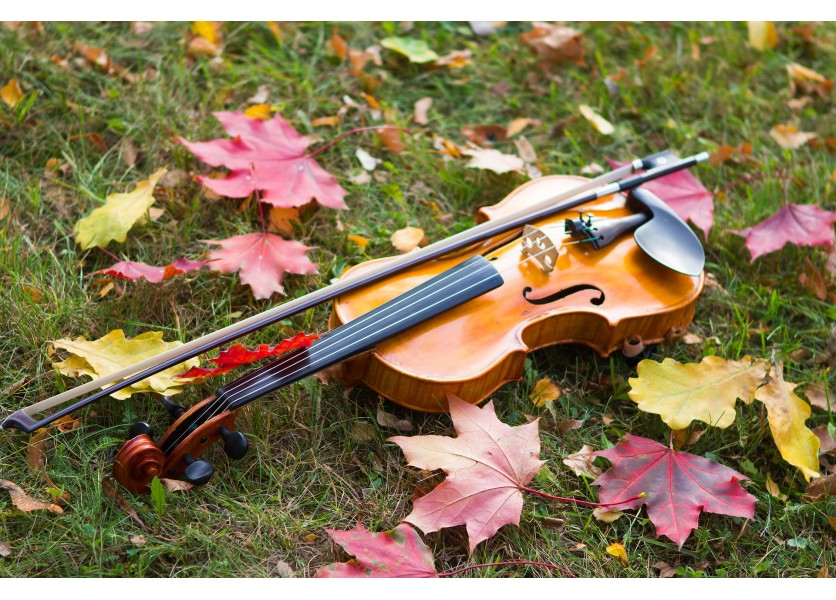 RAABE vydáva Kořínkovu Husľovú školu!