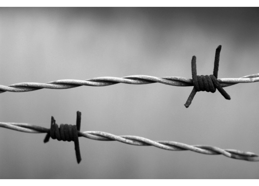 B. Gröhling: Pridelenie 200-tisíc eur na kurzy o holokauste