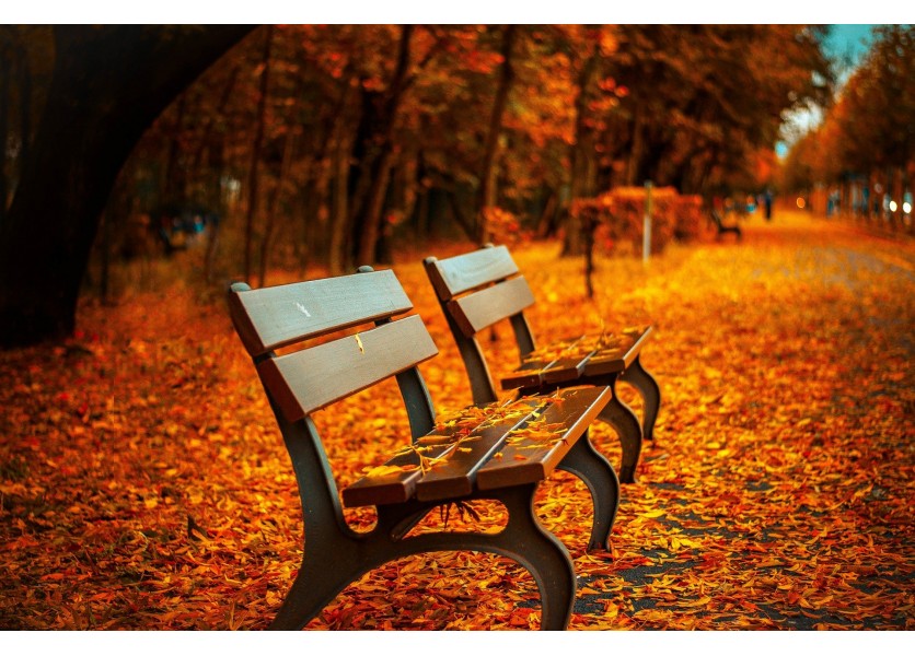 Jesenné prázdniny sa kvôli celoplošnému testovaniu presúvajú