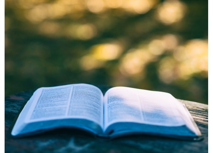 Zákon o pedagogických zamestnancoch zlepšuje postavenie celej profesie, tvrdí Lubyová