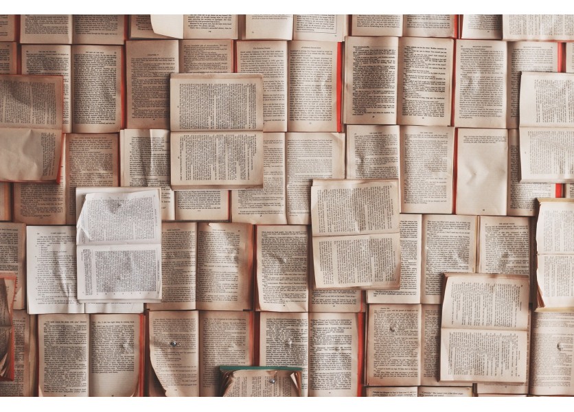 Národné štandardy informačnej gramotnosti budú modernejšie, ministerstvo chystá nový projekt