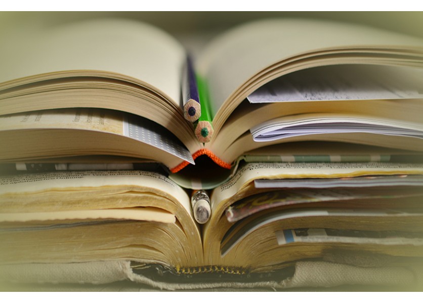 Postavenie druhého cudzieho jazyka v ZŠ nie je uspokojivé, tvrdí predmetová komisia ŠPÚ