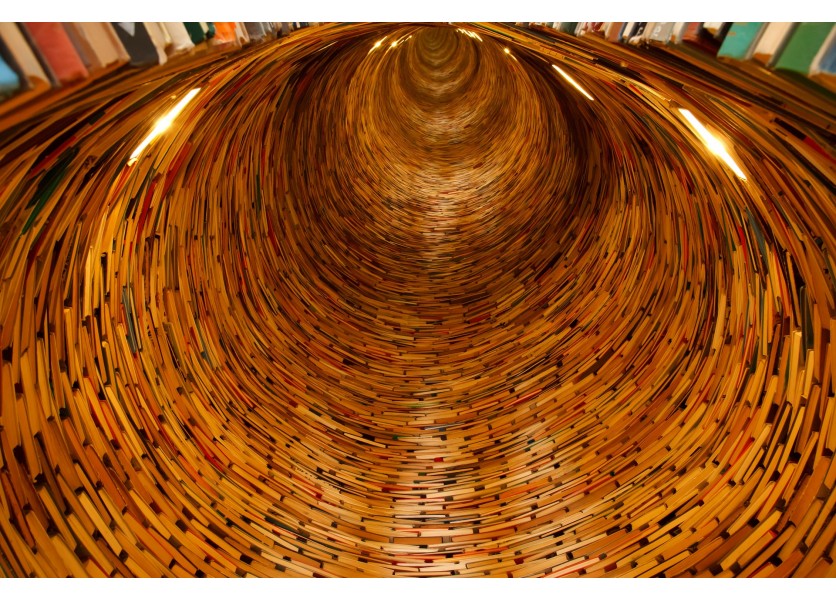 V regiónoch sa online diskutuje o Stratégii inkluzívneho vzdelávania V regiónoch sa online diskutuje o Stratégii inkluzívneho vzdelávania