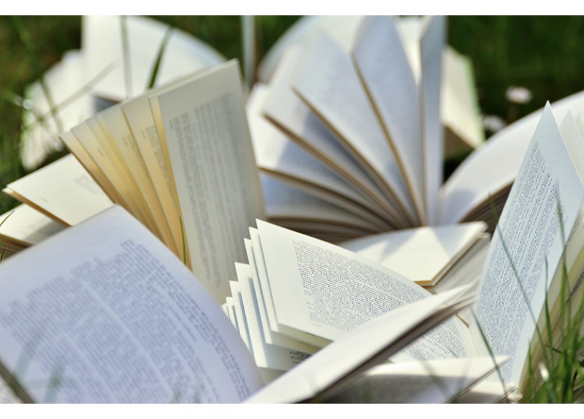 SaS: Navrhuje slobodný výber učebníc pre školy a učiteľov SaS: Navrhuje slobodný výber učebníc pre školy a učiteľov