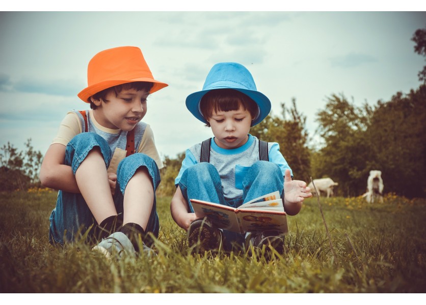 Slovenské školstvo zaostáva vo vzdelávaní. Naše deti nestíhajú v čitateľskej, matematickej ani prírodovednej gramotnosti
