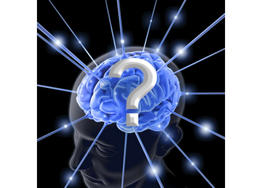 Prečo Slovensko hlúpne