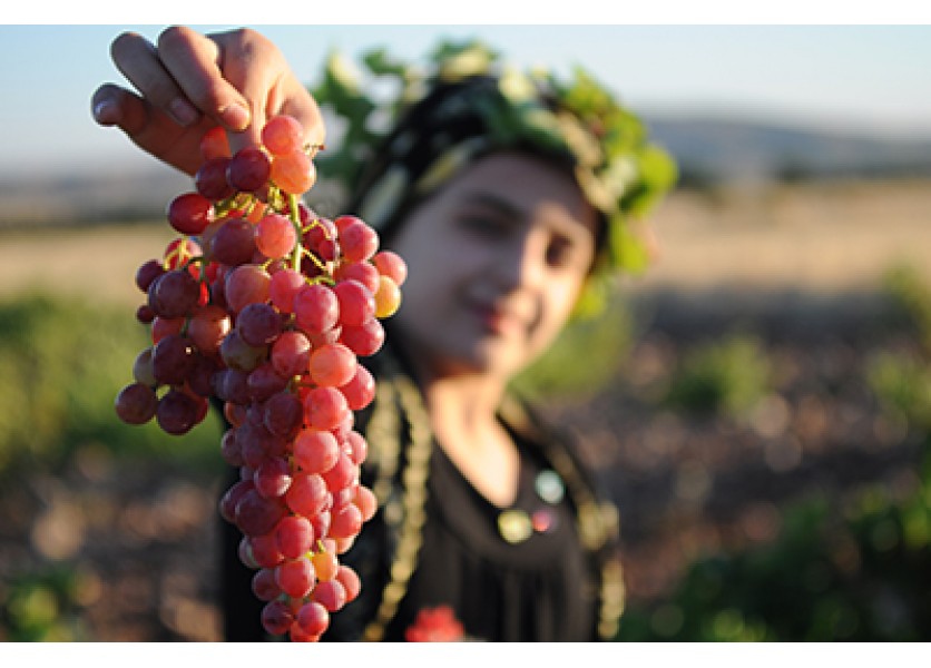 Chémia - Biele, červené alebo radšej ružové?