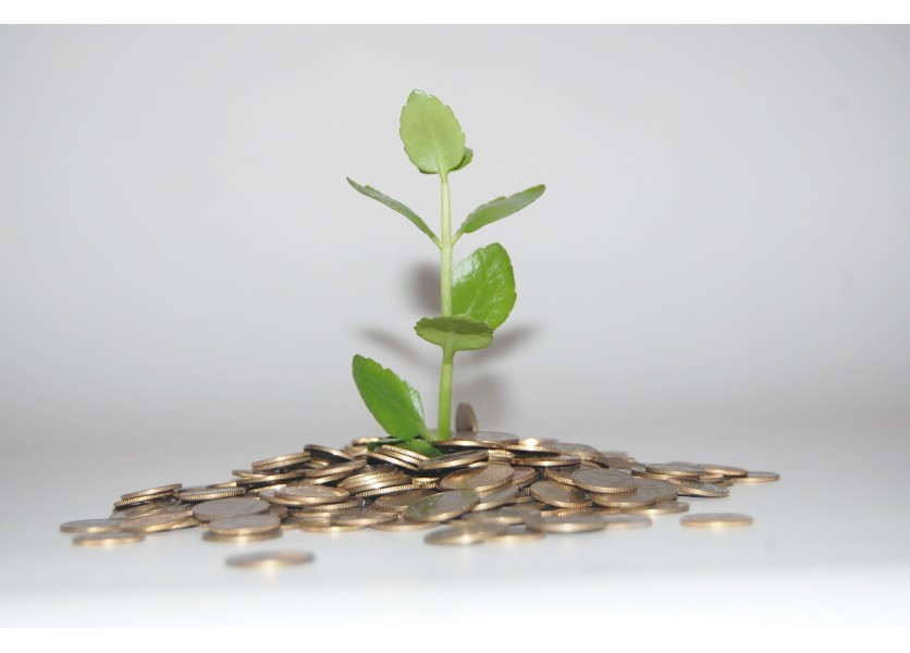 Ovocnú desiatu si deti natrhajú v škole