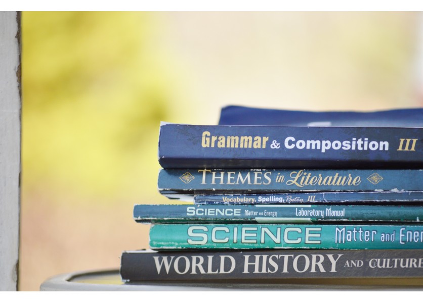 Čo hovoria prieskumy o jazykovej pripravenosti