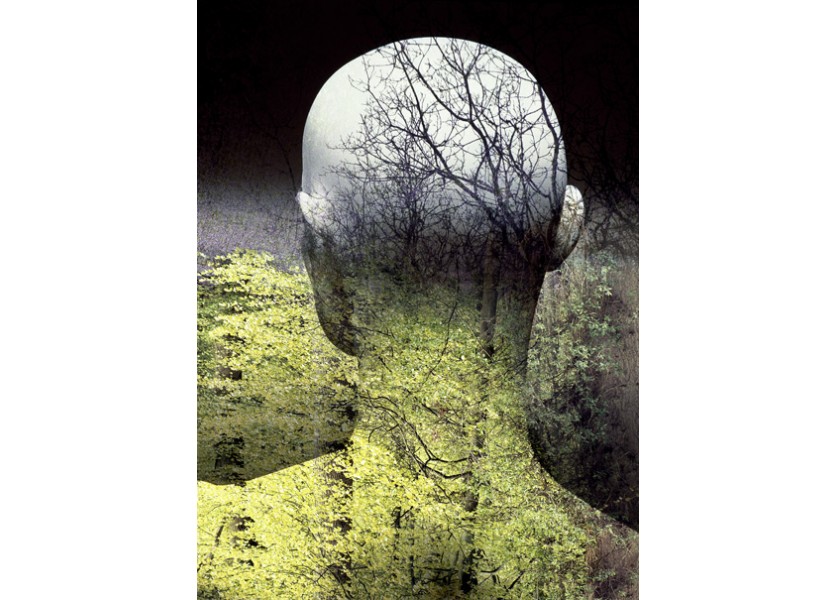 Na dobudovanie centra excelentnosti získala univerzita 2,64 milióna eur