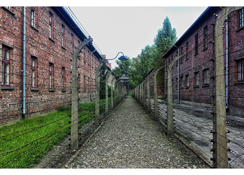 Ministerstvo školstva nadviazalo spoluprácu s Jad Va-šem, učitelia sa budú vzdelávať o holokauste