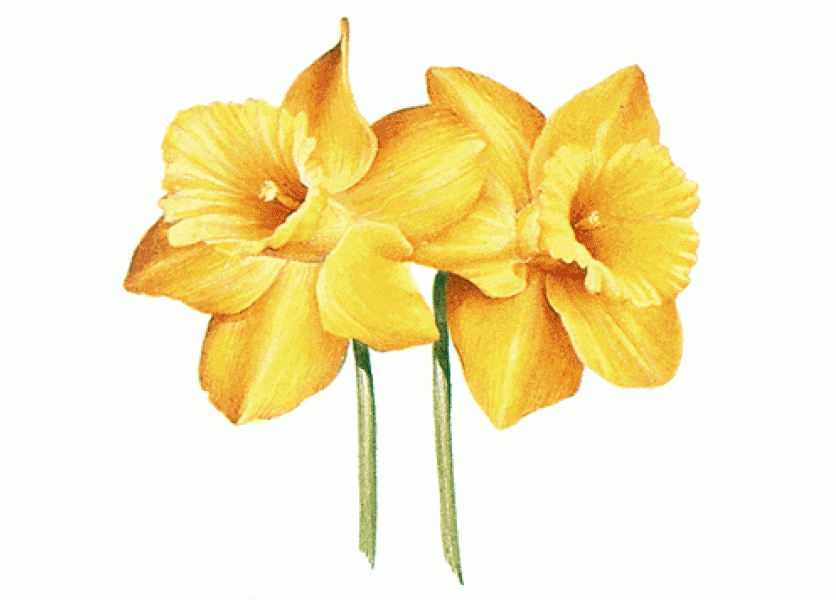 Učme deti zdravému životnému štýlu a pohybu už odmalička