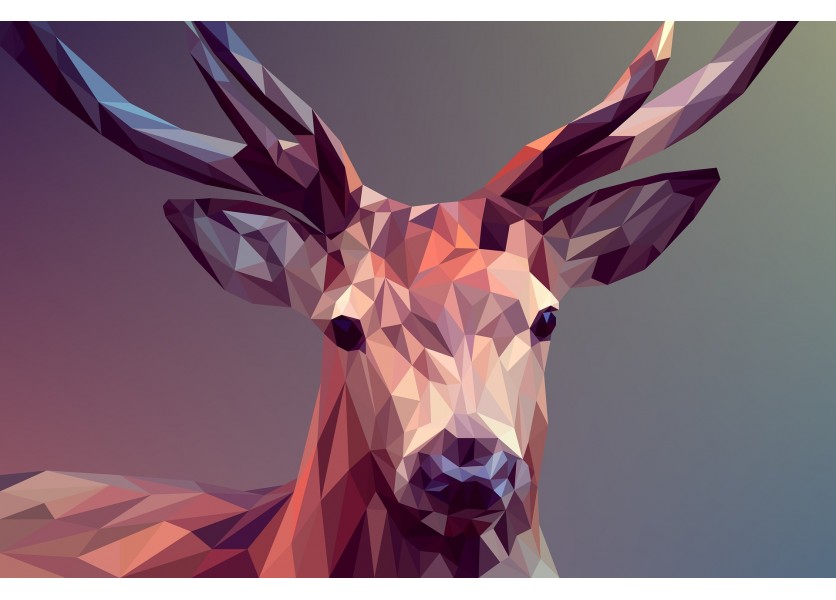 Prečo premenovali ŠÚV-ku?