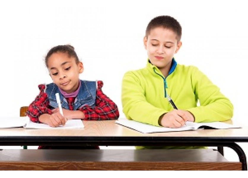 Pedagogický ústav bude rozvíjať vzdelávanie v rómskom jazyku