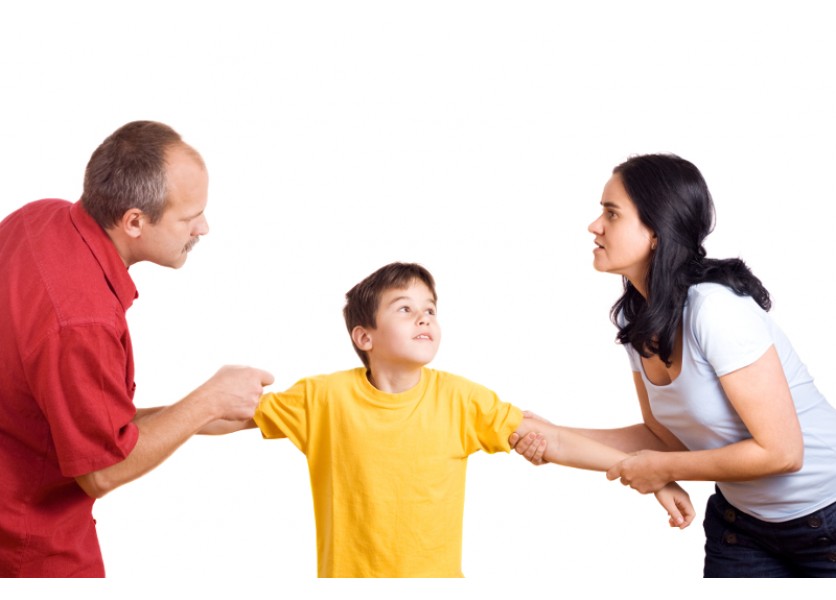 Lubyová: Opozícia si v školskom výbore zahrala vabank s rodičmi i deťmi