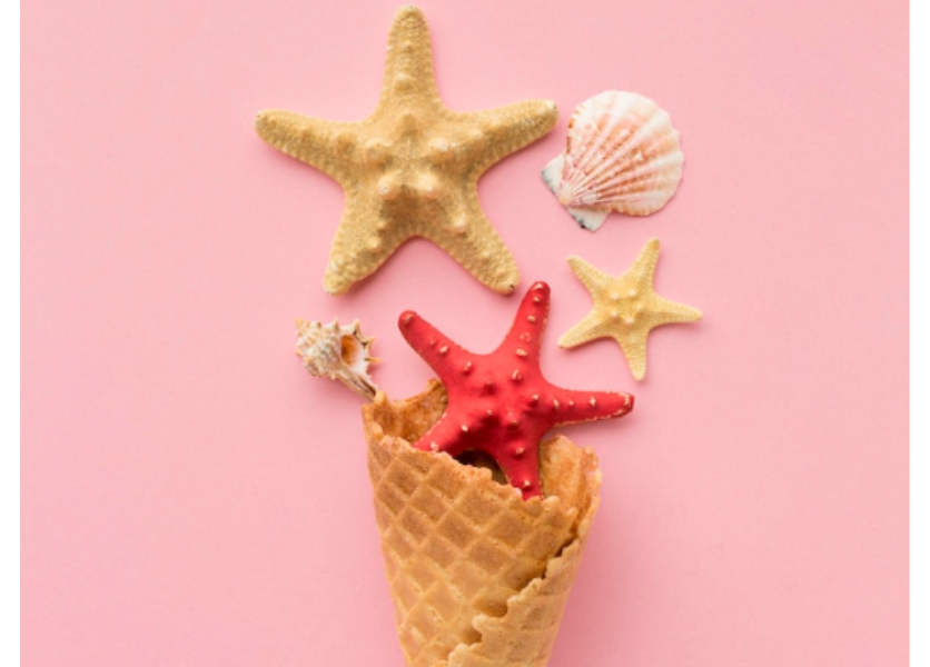 Polročné prázdniny už nebudú, na jarné nastúpi východ ako posledný