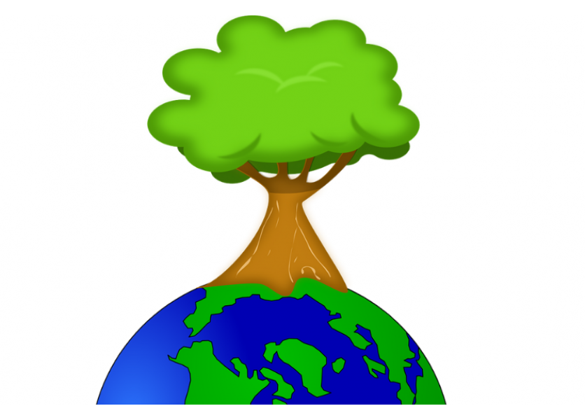 B. Gröhling: Environmentálna výchova bude na školách povinná