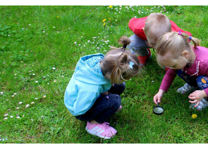 Škôlkar v hlavnej úlohe prírodovedného vzdelávania Škôlkar v hlavnej úlohe prírodovedného vzdelávania