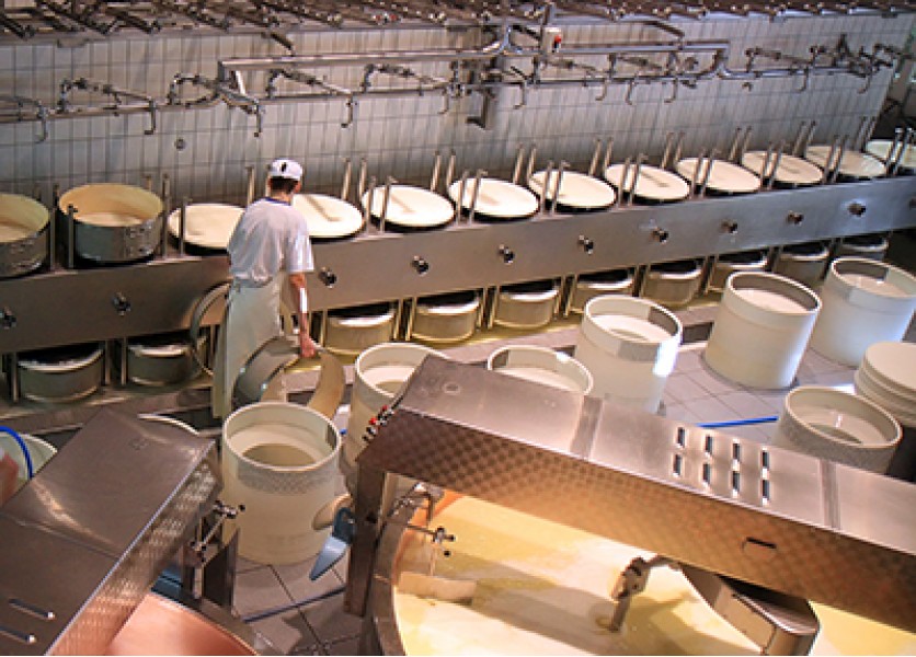 Matematika - Rozvoj produkcie mlieka na Slovensku