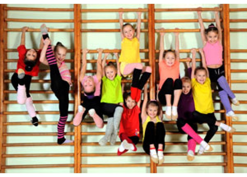 Chcú určiť topšporty, ktoré dostanú viac peňazí