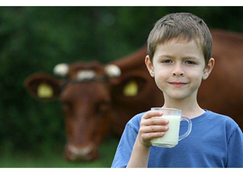 Prírodoveda - Kto nám dáva mliečko?