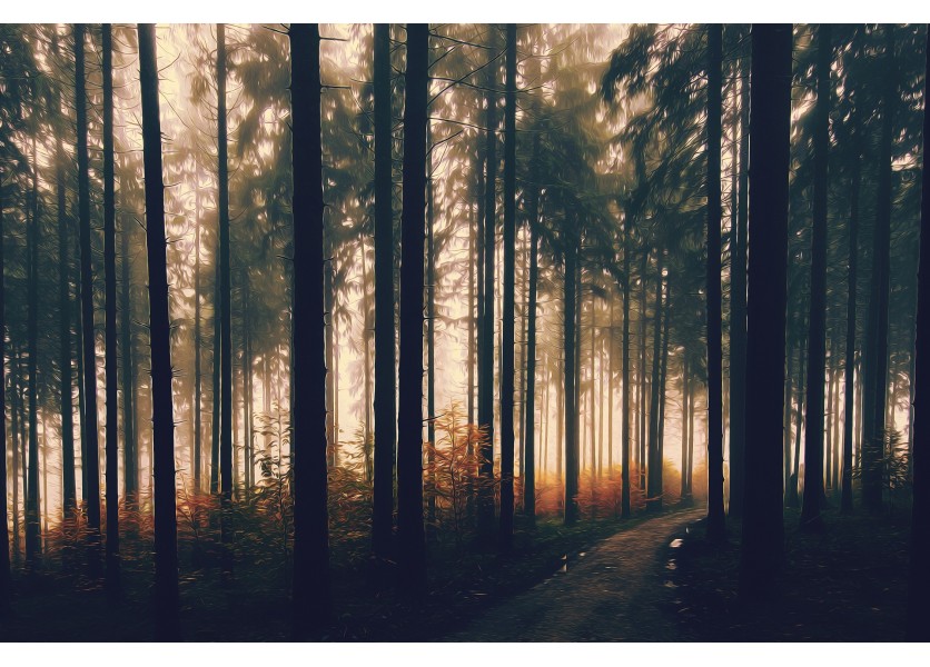 Ministerstvo školstva aktuálne neodporúča školy v prírode či lyžiarske výcviky