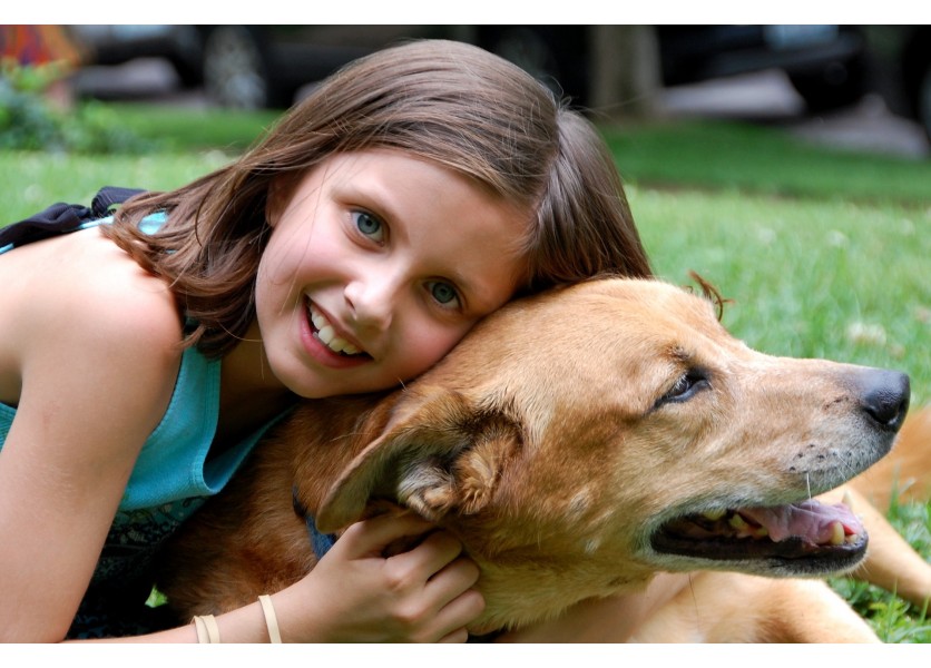 Svetlana Síthová: Otvorené školy znamenajú vyššiu pohodu v oblasti duševného zdravie