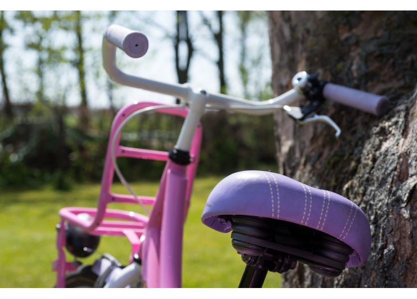 Do školy pešobusom