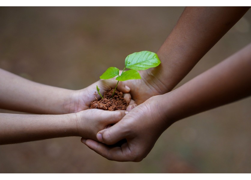 Súčasťou ŠVP je v ZŠ aj SŠ prierezová téma ochrana života a zdravia