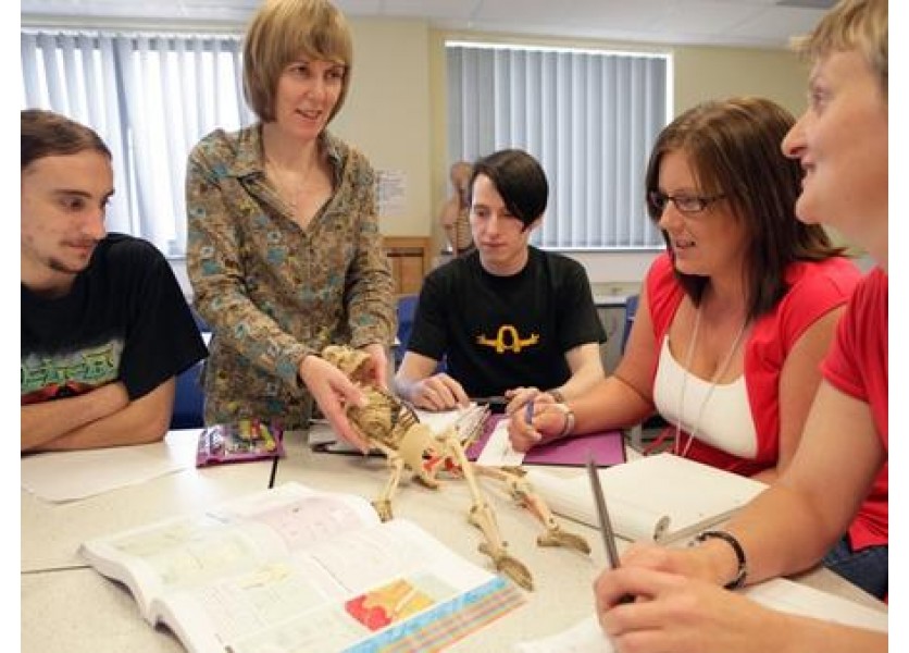 Školstvo nie je ľavé alebo pravé, školstvo je len dobré alebo zlé