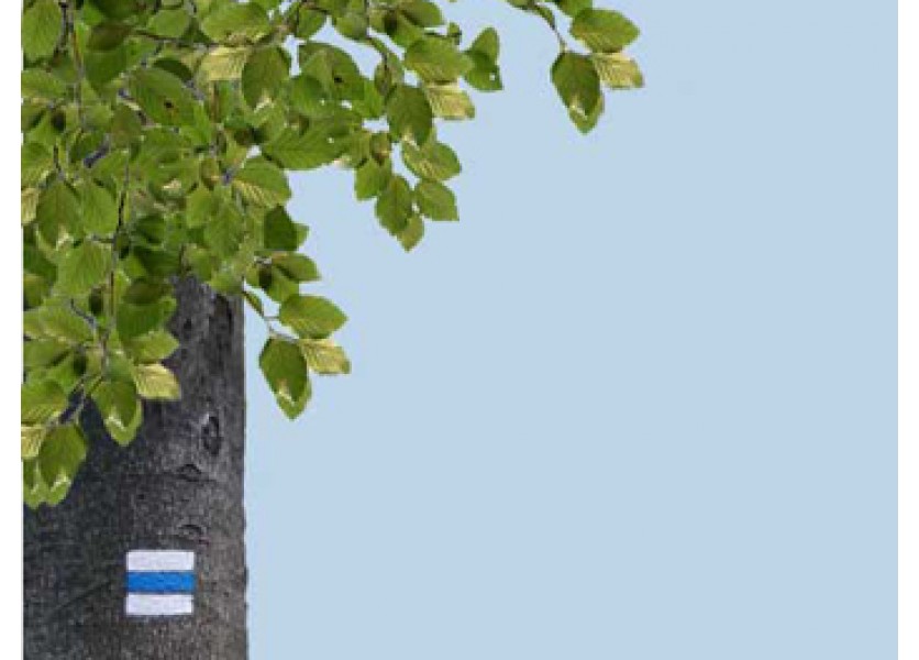 Školáci sa môžu zahrať na enviroreportérov