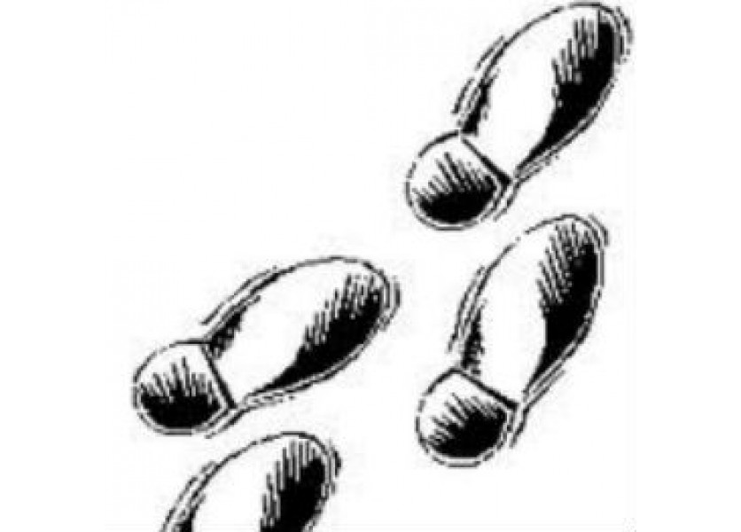 Prvé kroky nového riaditeľa školy po nástupe do funkcie