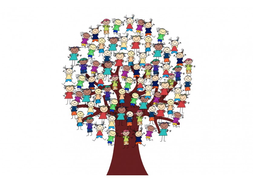 MŠVVaŠ: Prvý akčný plán k stratégii inkluzívneho prístupu má riešiť 13 cieľov