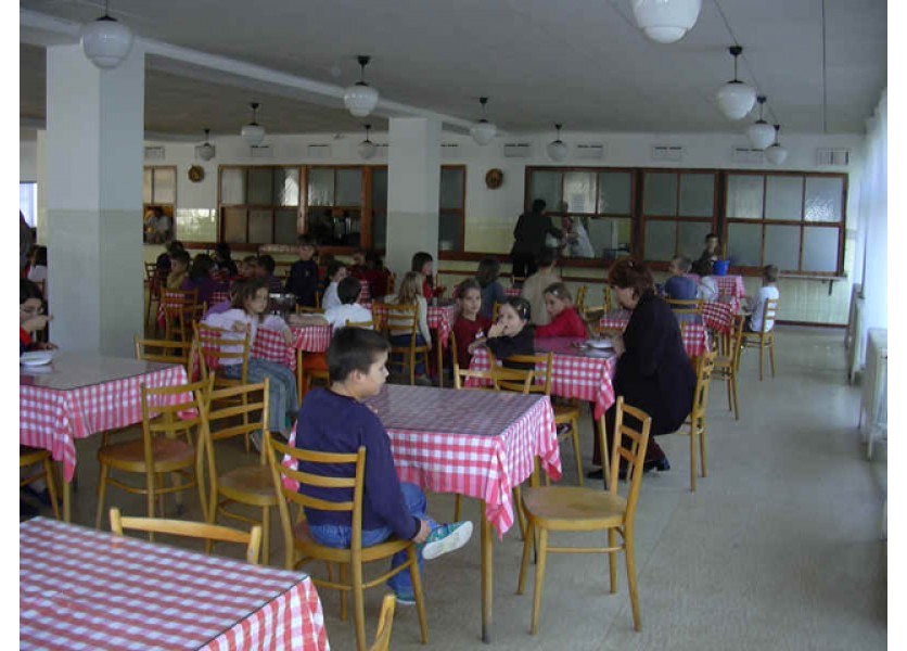 Zariadenia školského stravovania a ich zaraďovanie do siete Zariadenia školského stravovania a ich zaraďovanie do siete