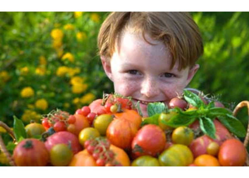 Deti si samy dopestujú zeleninu