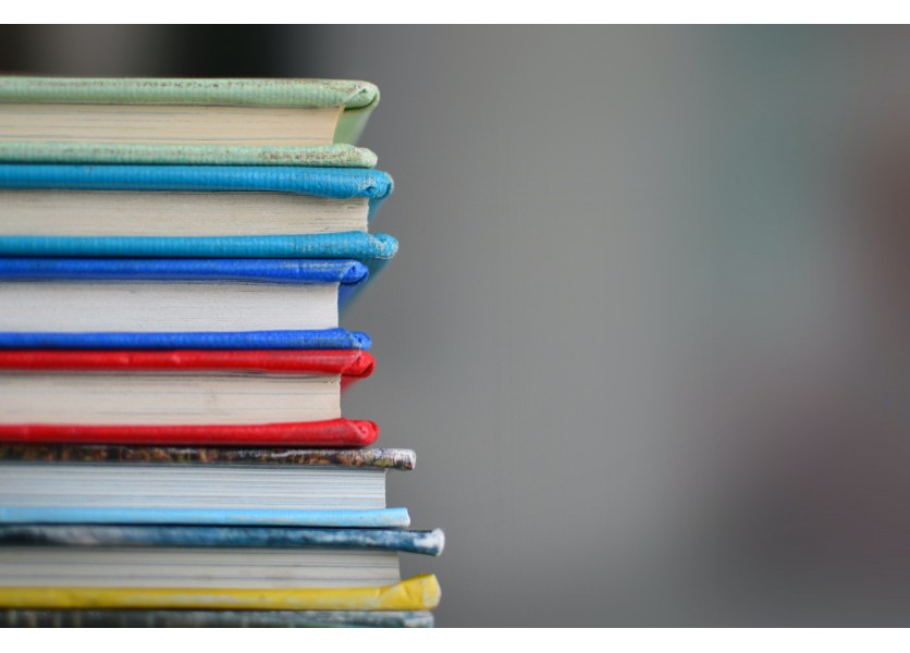 Na niektorých školách učia aj netradičné predmety ako sokoliarstvo či chov koní