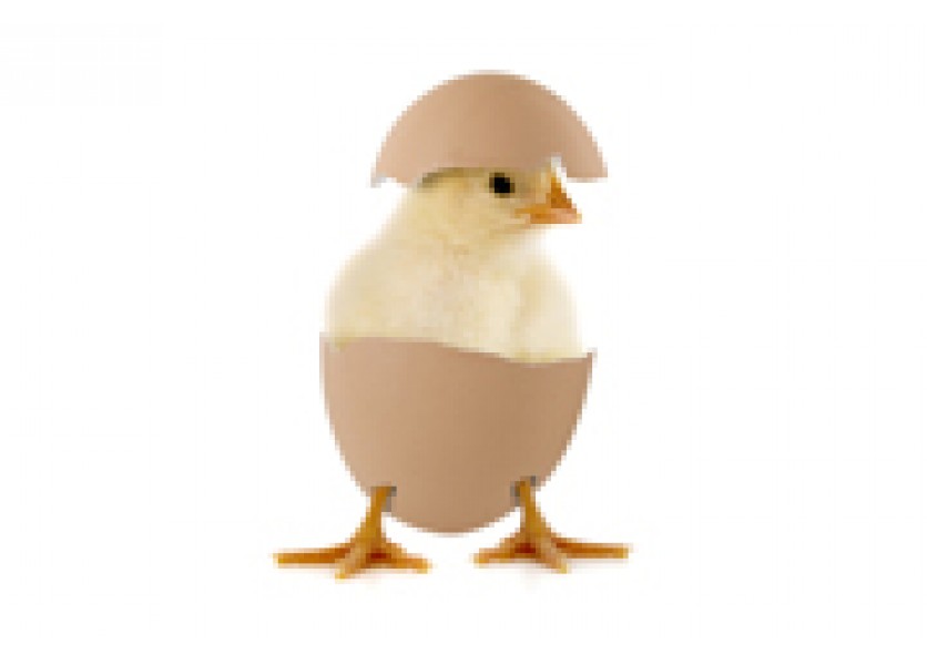 Veľkonočné vajíčko