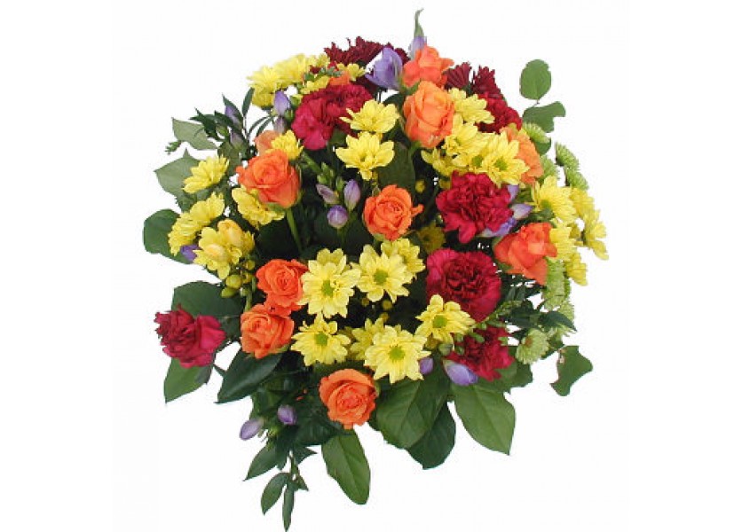 Ocenili 11 študentských osobností roka 2008/2009 Ocenili 11 študentských osobností roka 2008/2009